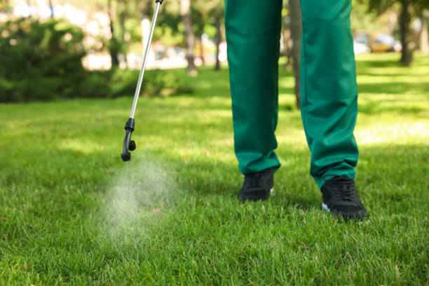 Best Flea Control Services  in , NJ