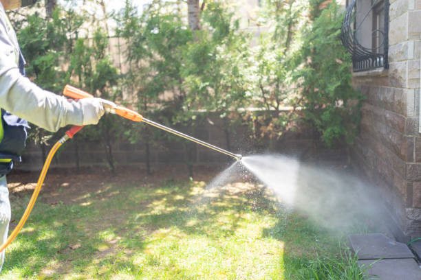 Best Insect Control  in , NJ